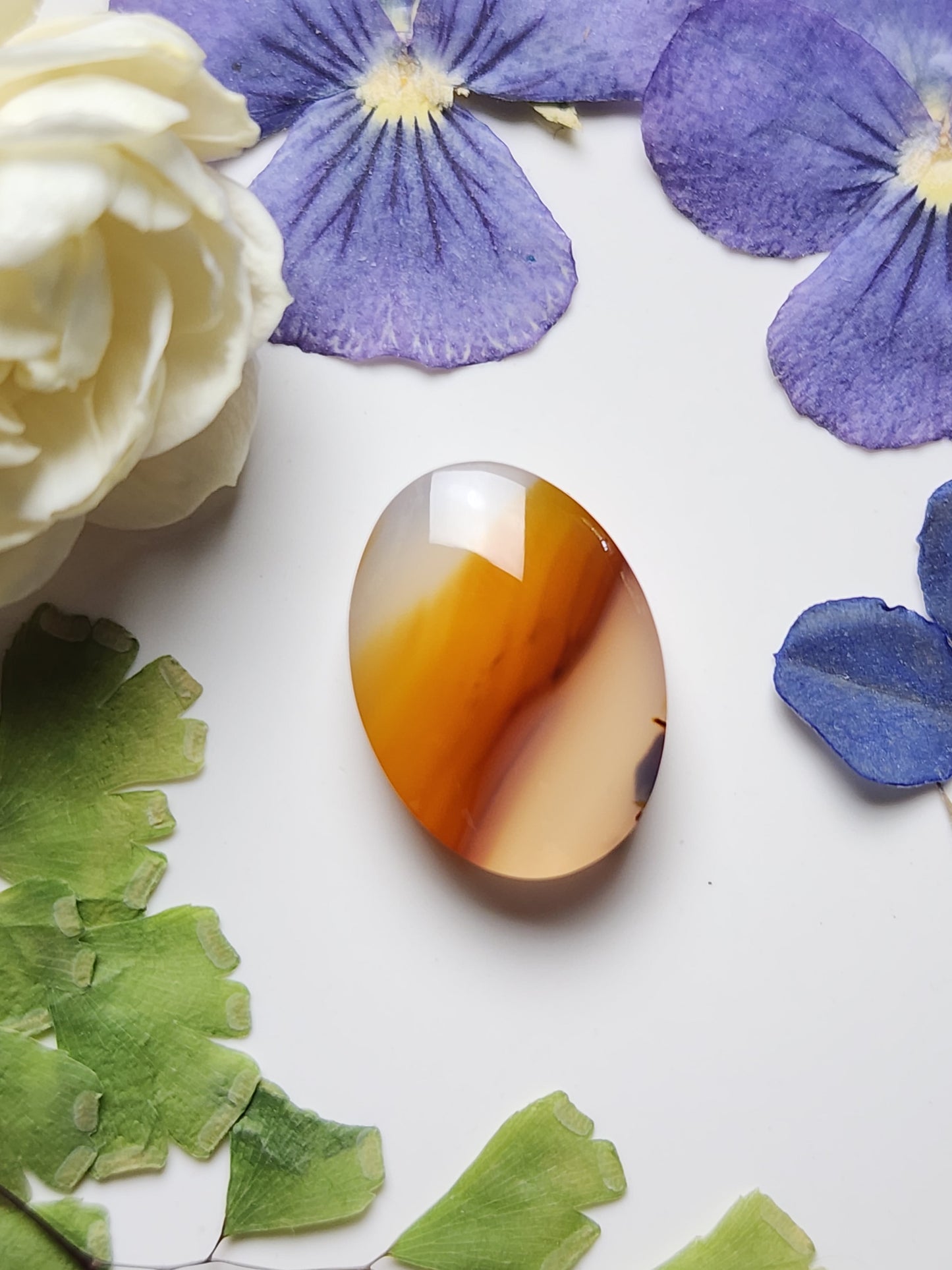 Montana agate