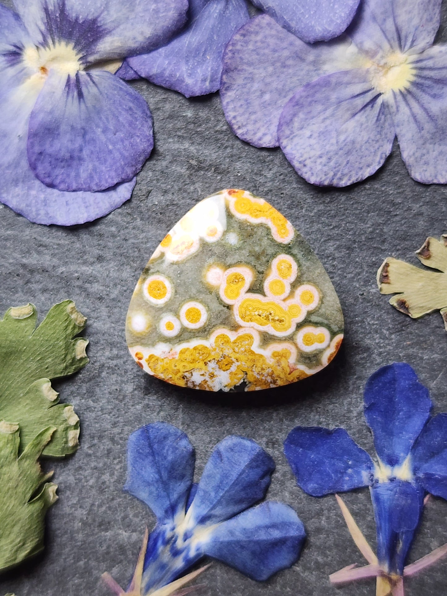 Ocean jasper