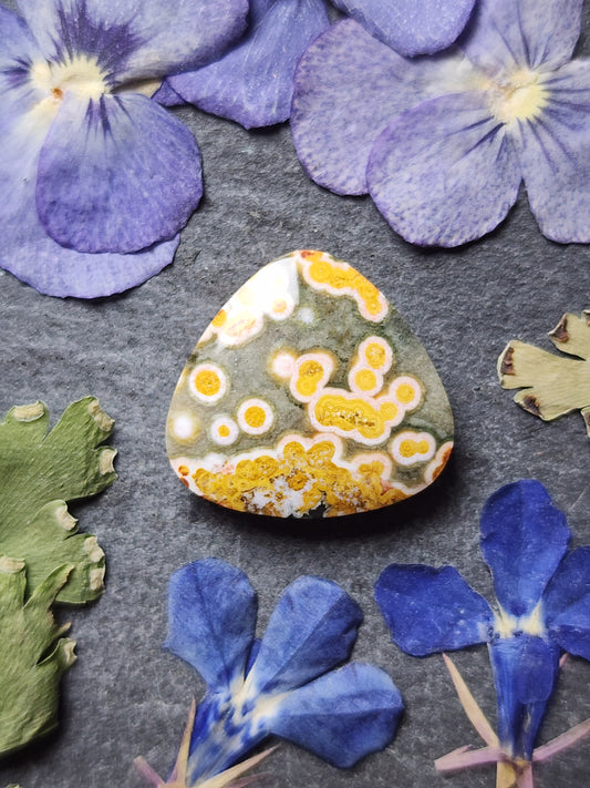 Ocean jasper