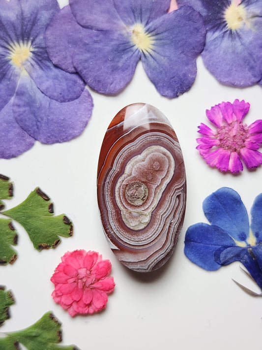 Laguna lace agate