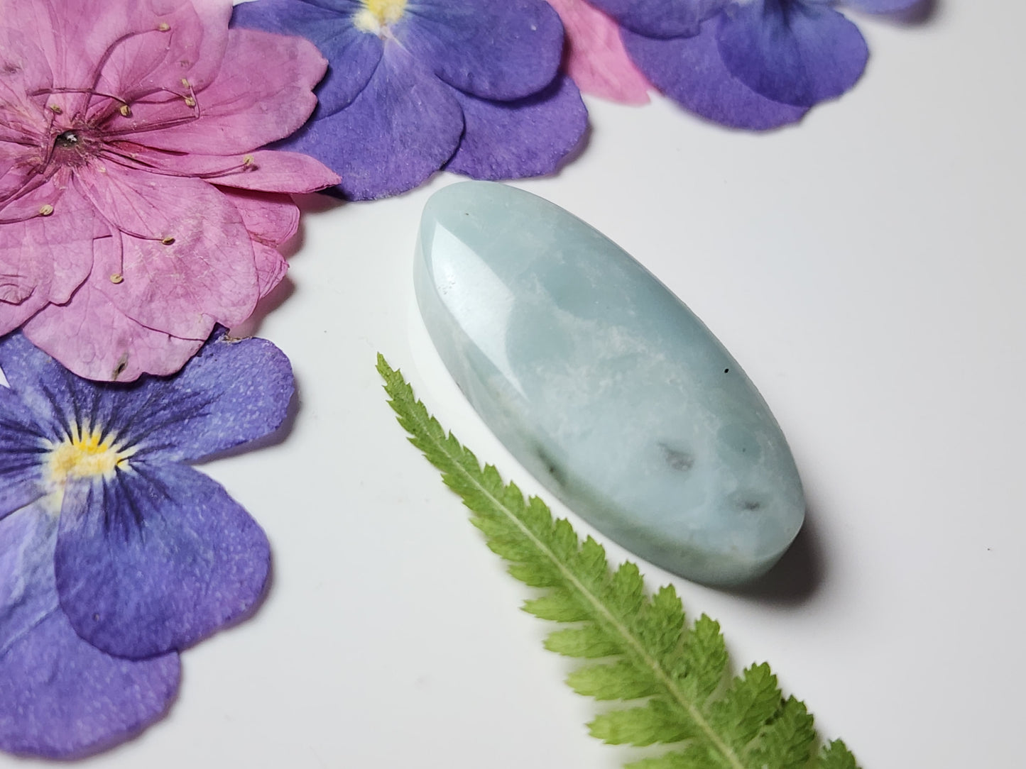 BC Ocean picture stone