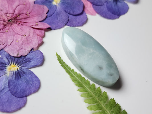BC Ocean picture stone