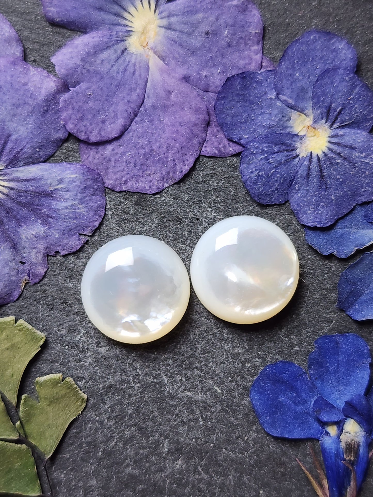 Mother of pearl shell (A2)