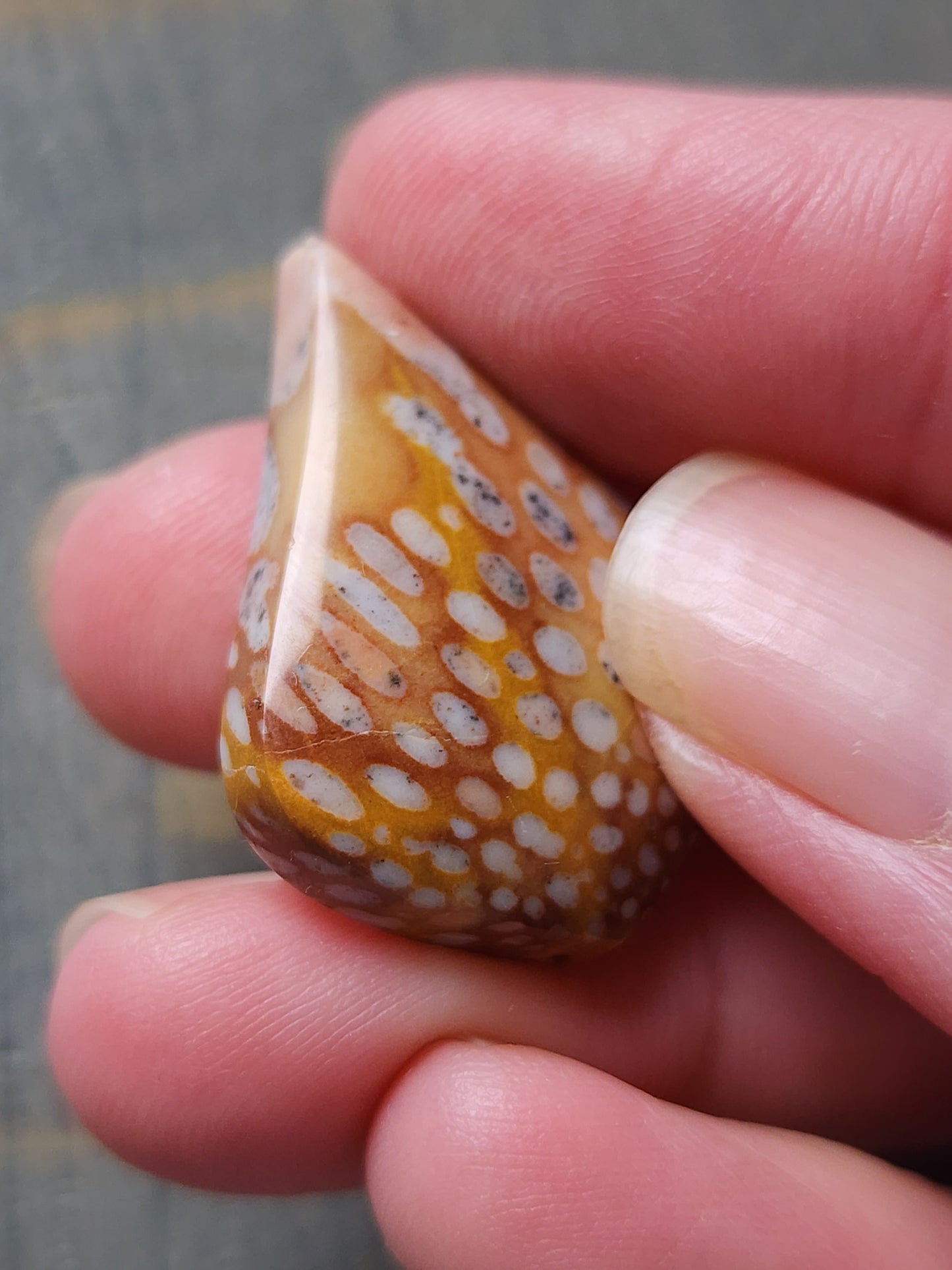 Spotted Fawn jasper