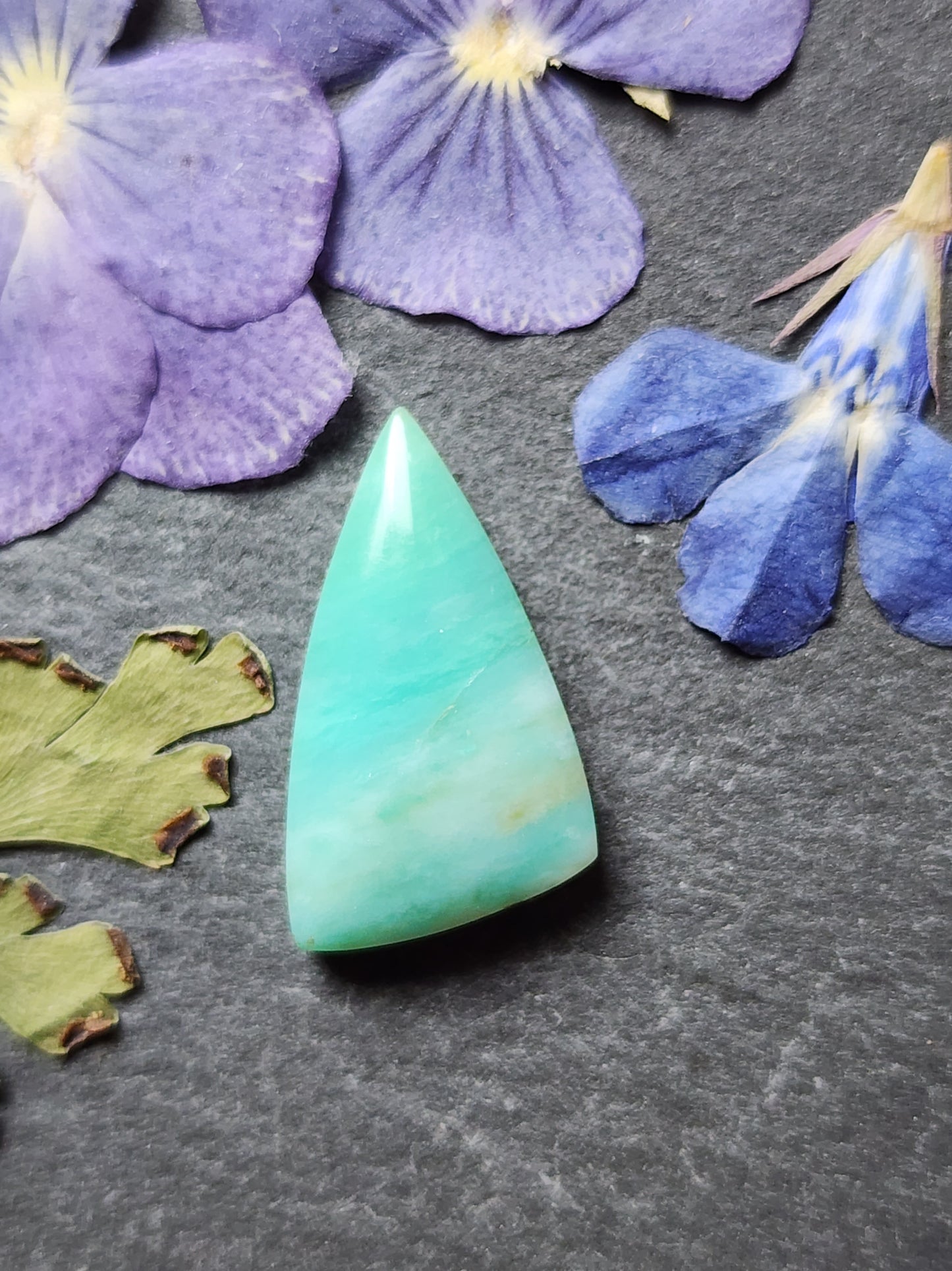Petrified Blue opalized wood