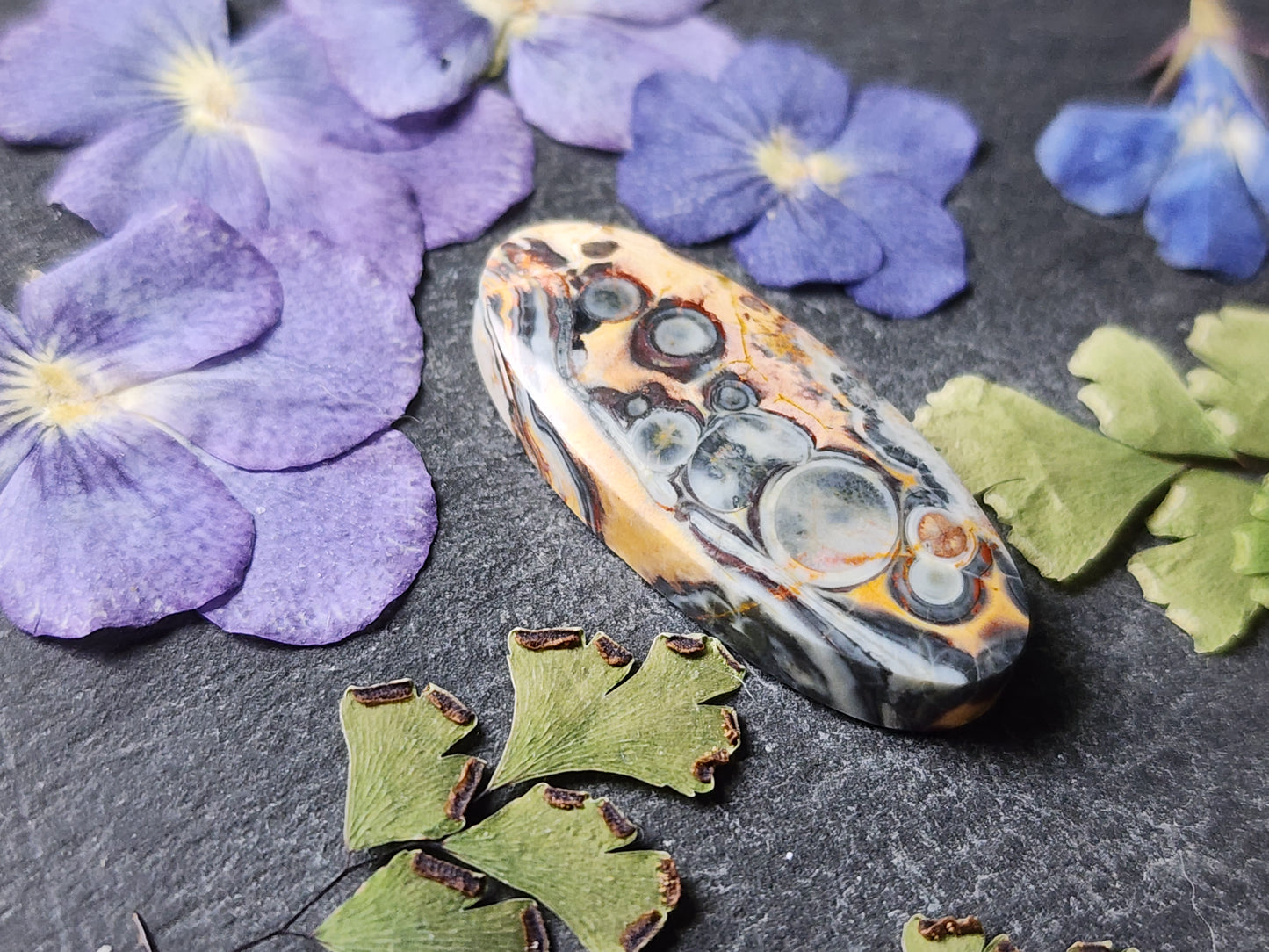 Galaxy Rhyolite