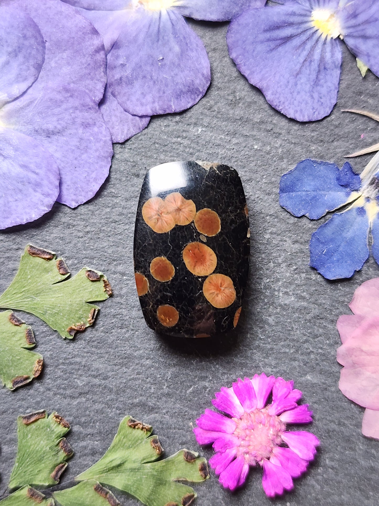 Peanut Obsidian