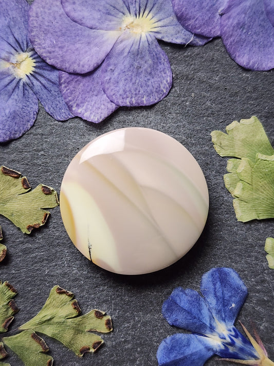 Willow Creek jasper