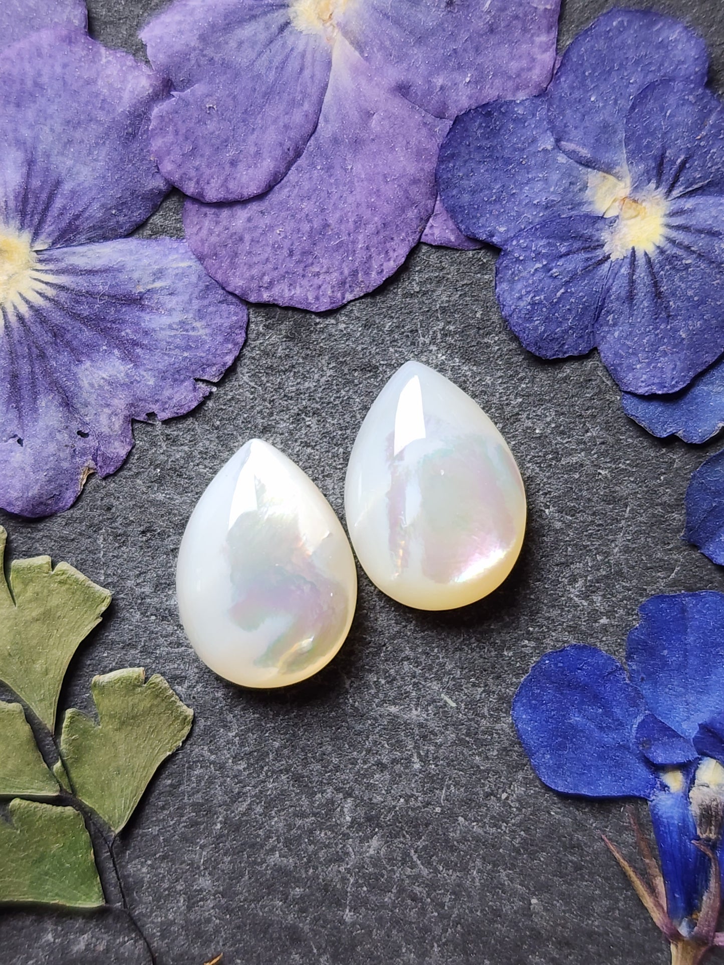 Mother of pearl shell pair(A2)