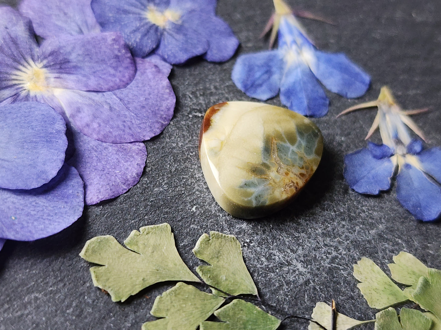 Brecciated Polychrome jasper