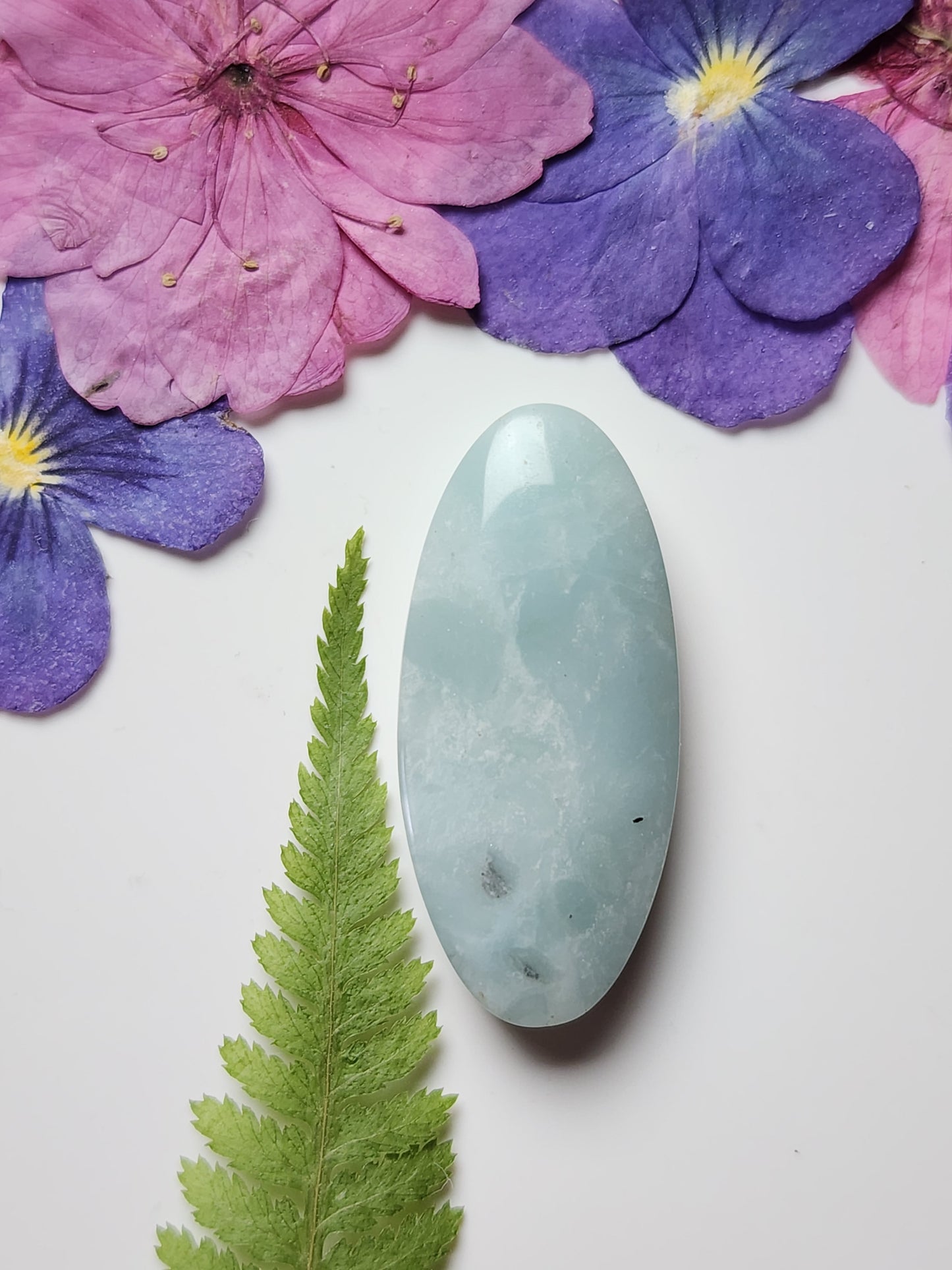 BC Ocean picture stone