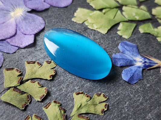 Fiber optic cat's eye glass