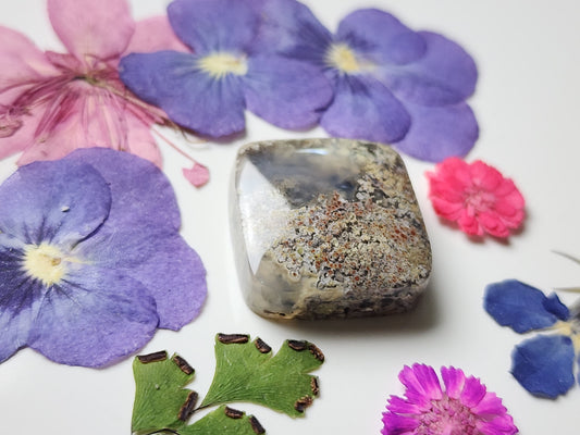 Garden Moss agate