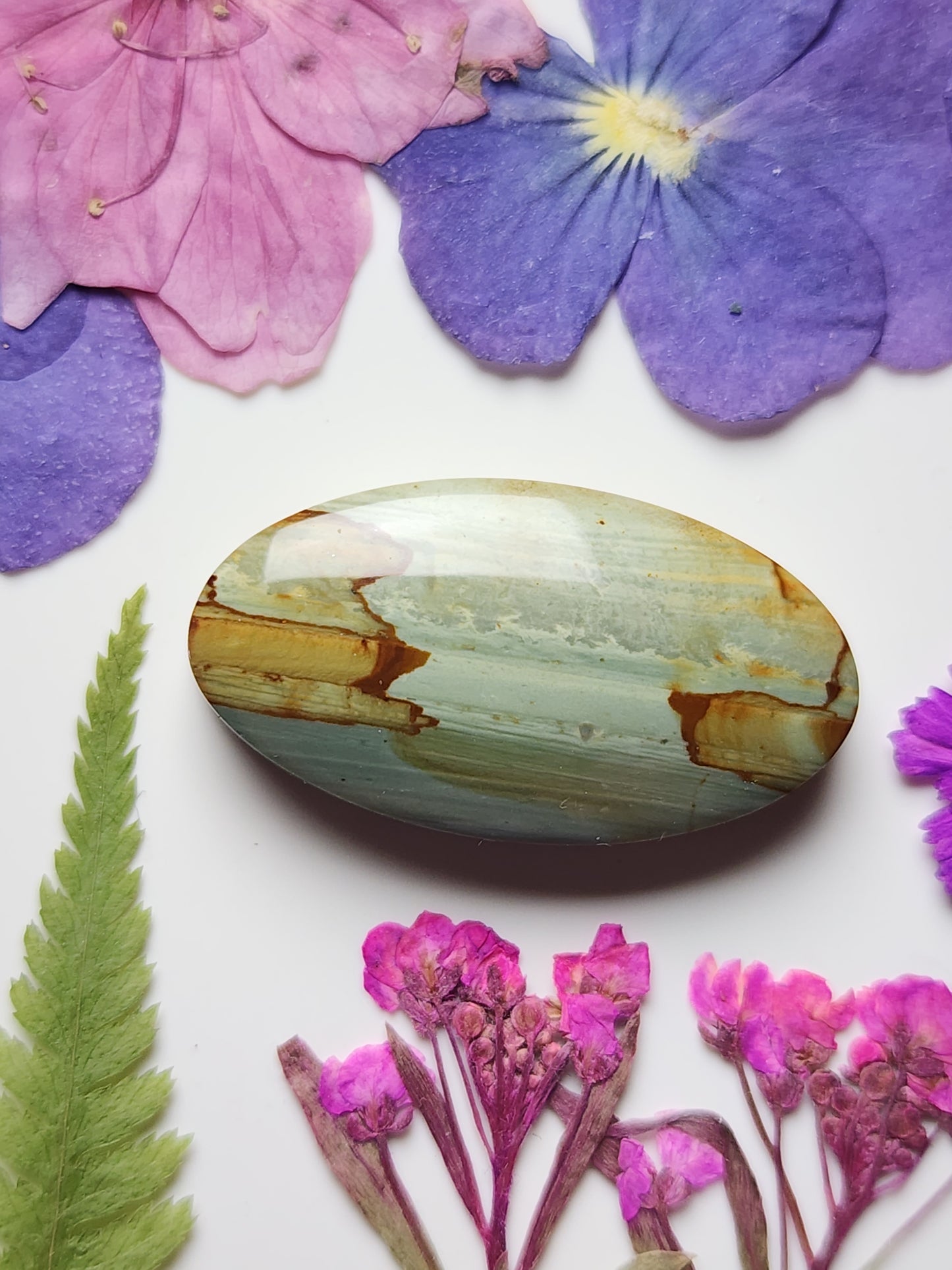 Succor creek picture jasper