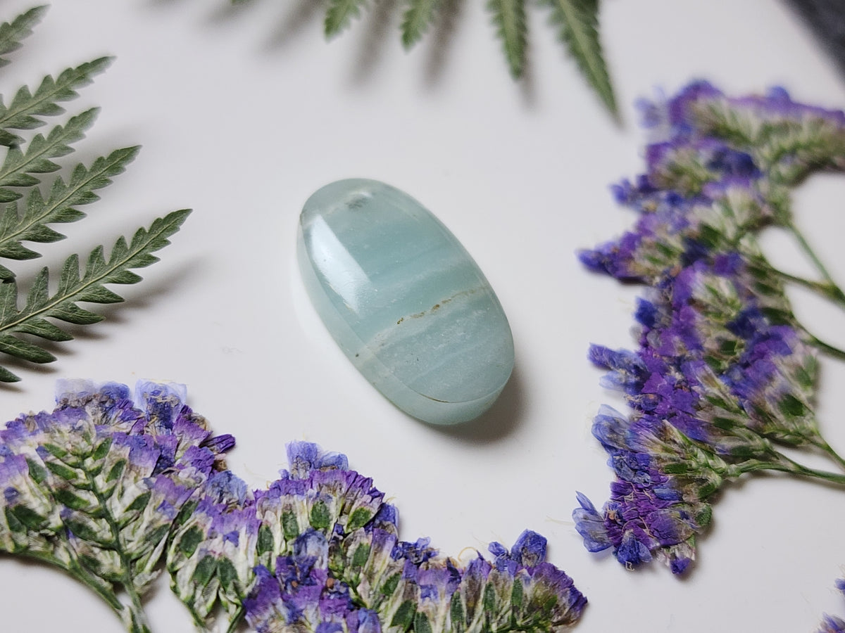 BC Ocean picture stone