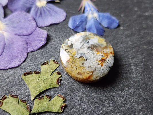 North Ridge plume agate