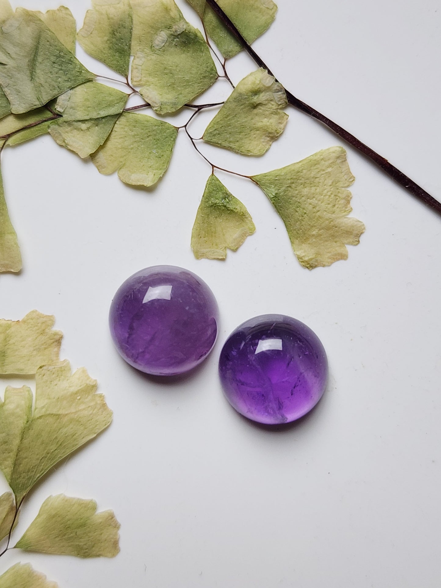 Amethyst pair (A1)