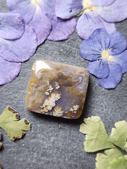 Dendrite plume agate