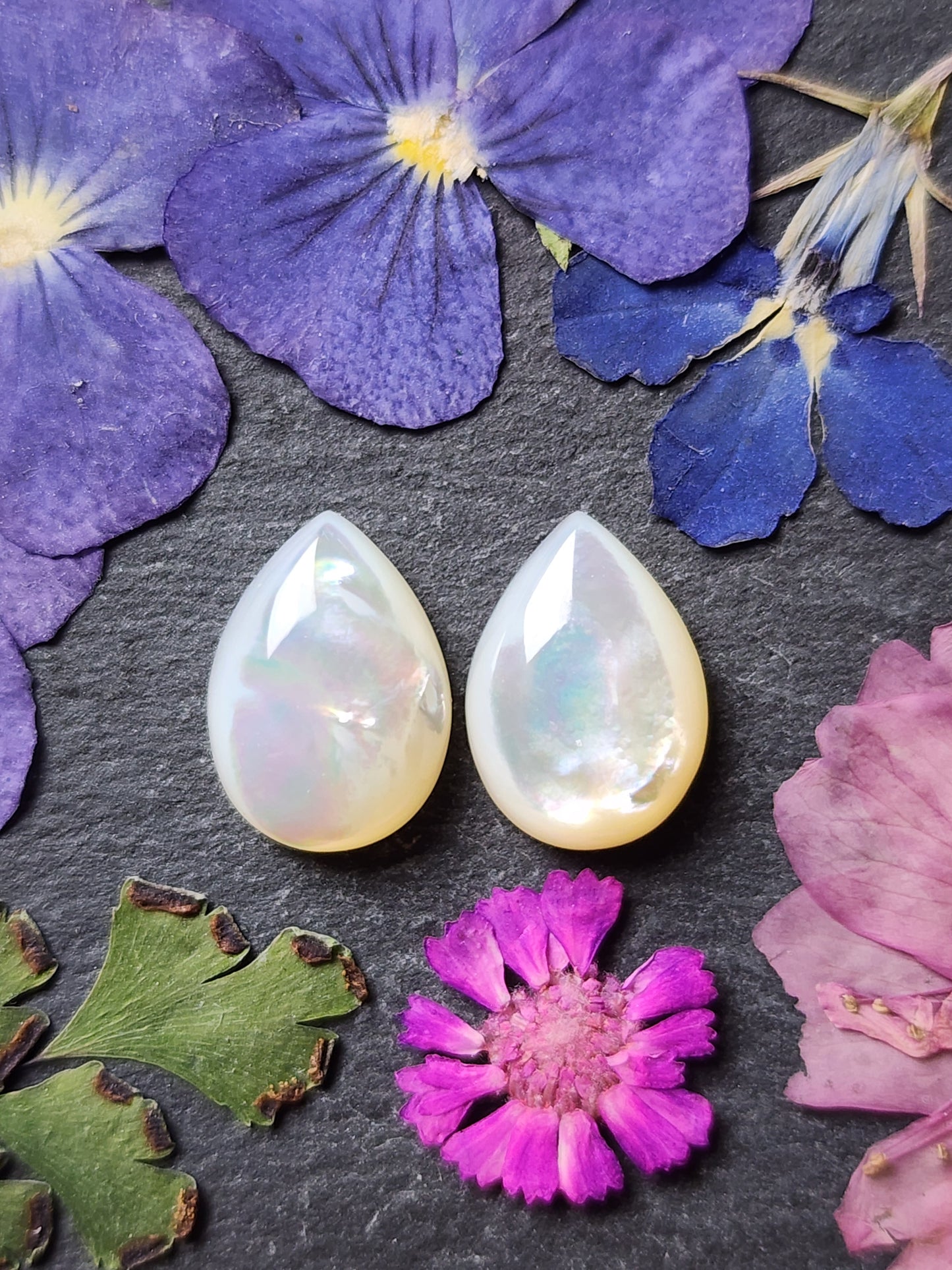 Mother of pearl shell pair (A1)