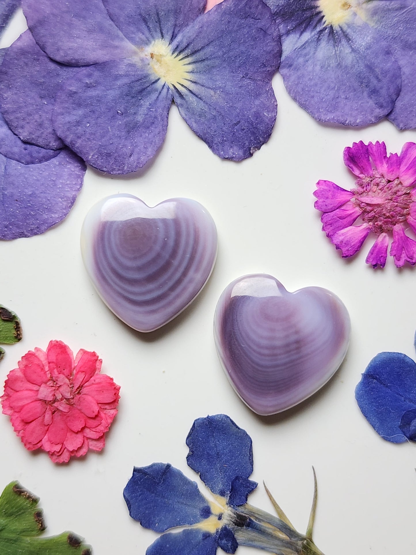 Wampum shell heart pair