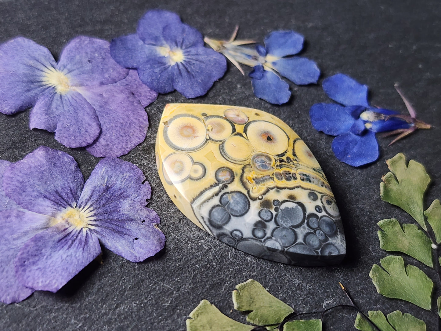 Galaxy Rhyolite