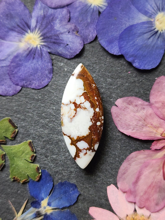 Wildhorse Magnesite