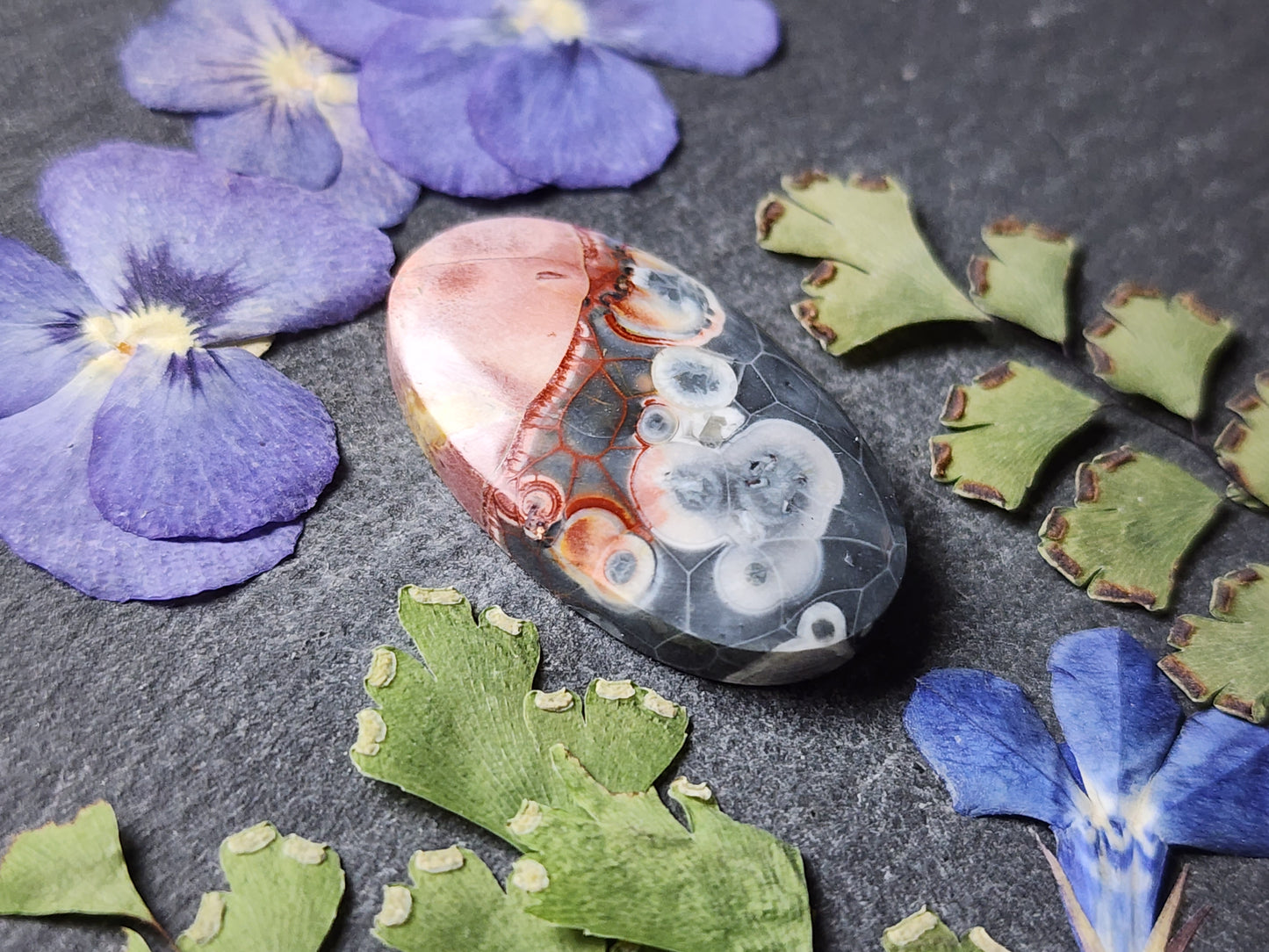 Galaxy Rhyolite