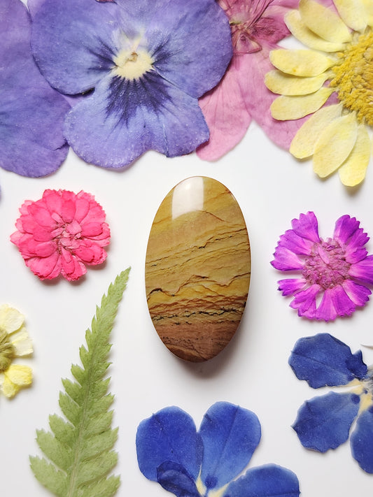 Shadow Mountain jasper