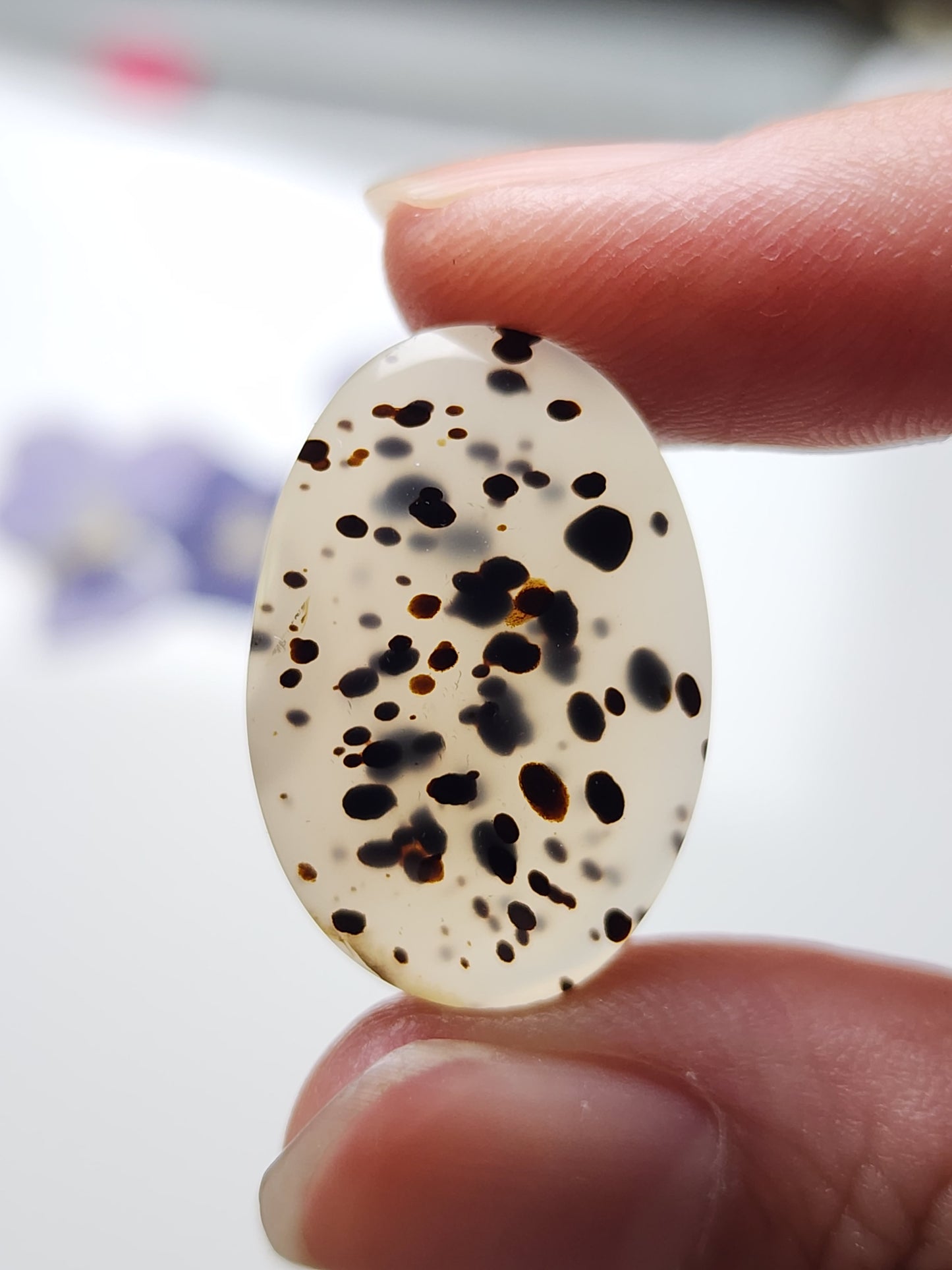 Montana agate