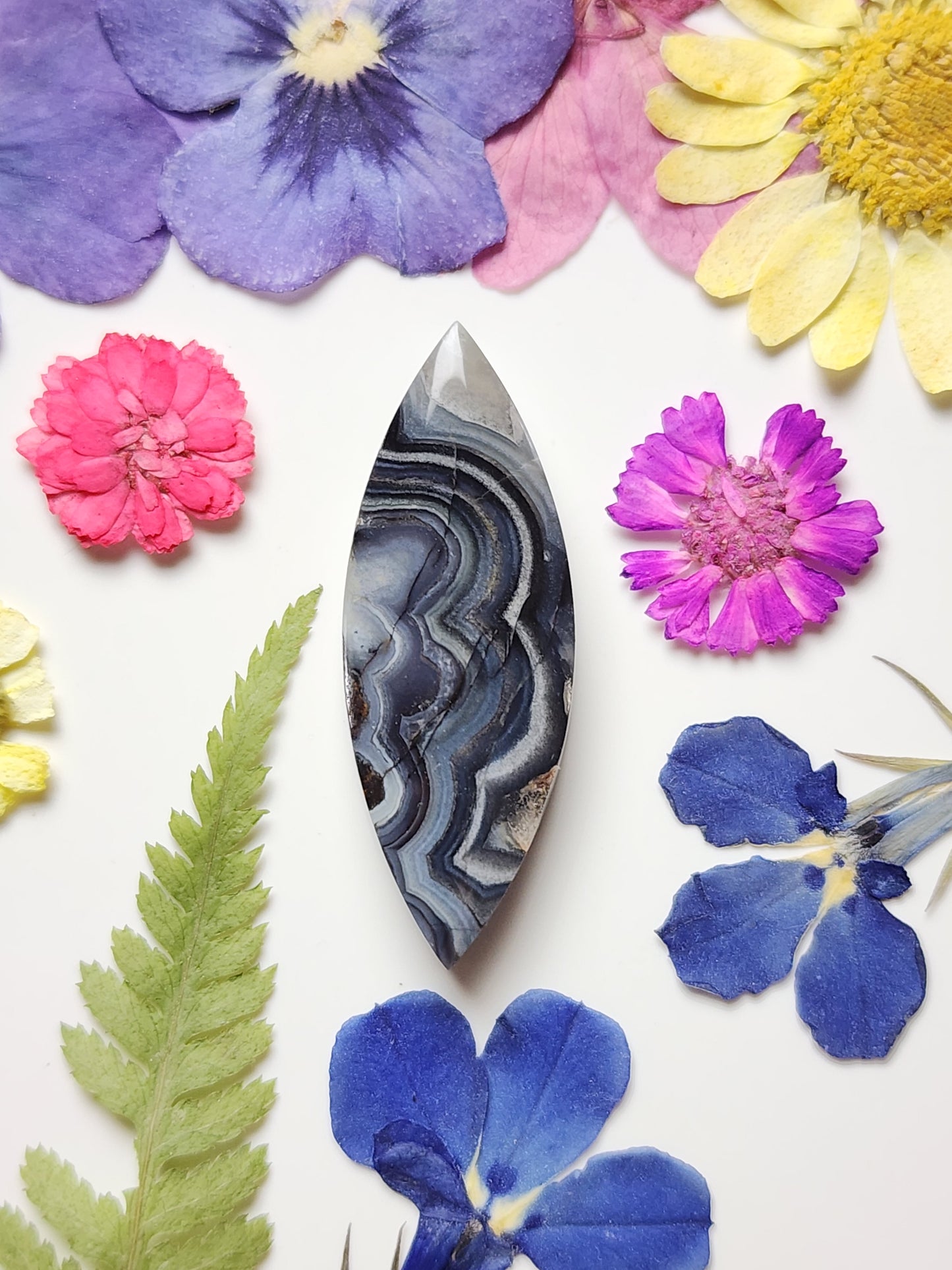 Laguna lace agate