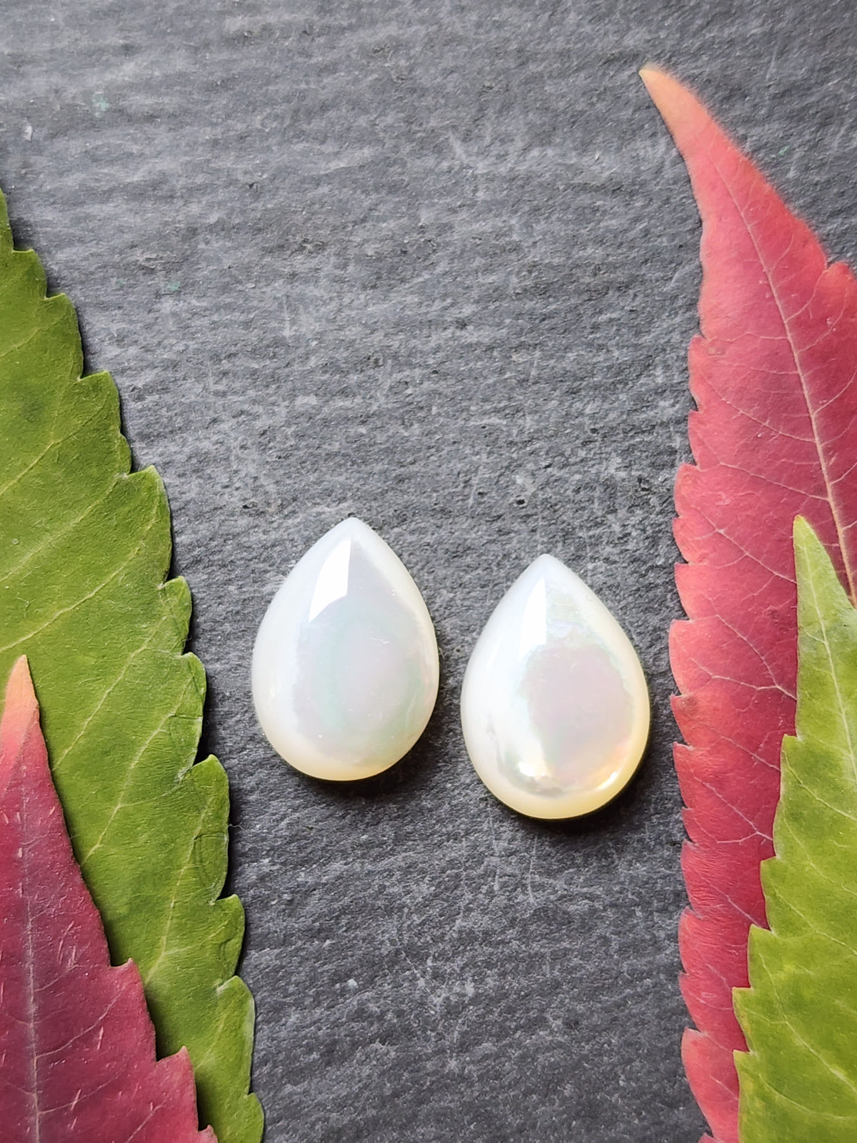 Mother of pearl (A1)