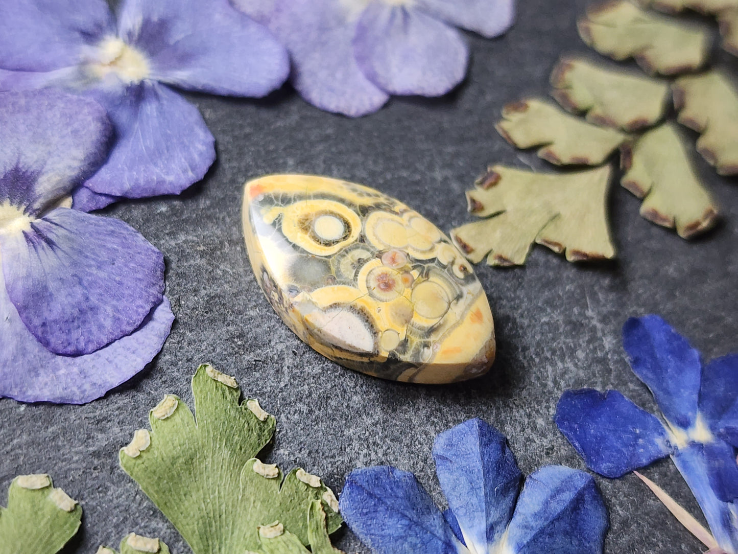 Galaxy Rhyolite