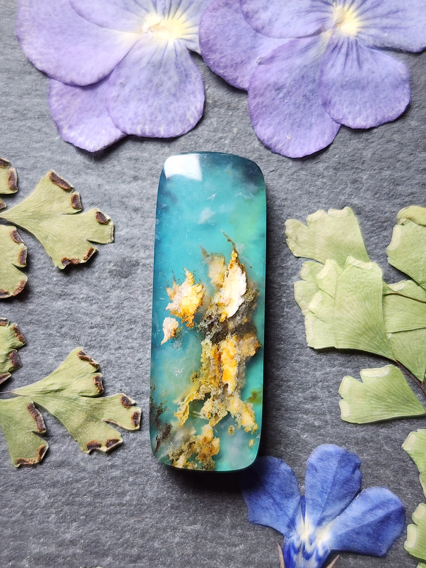 Bella Vista plume agate Doublet