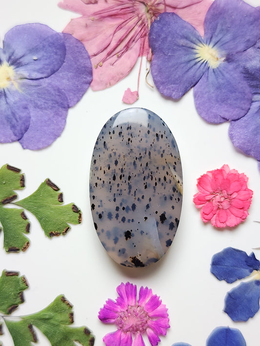 Montana agate