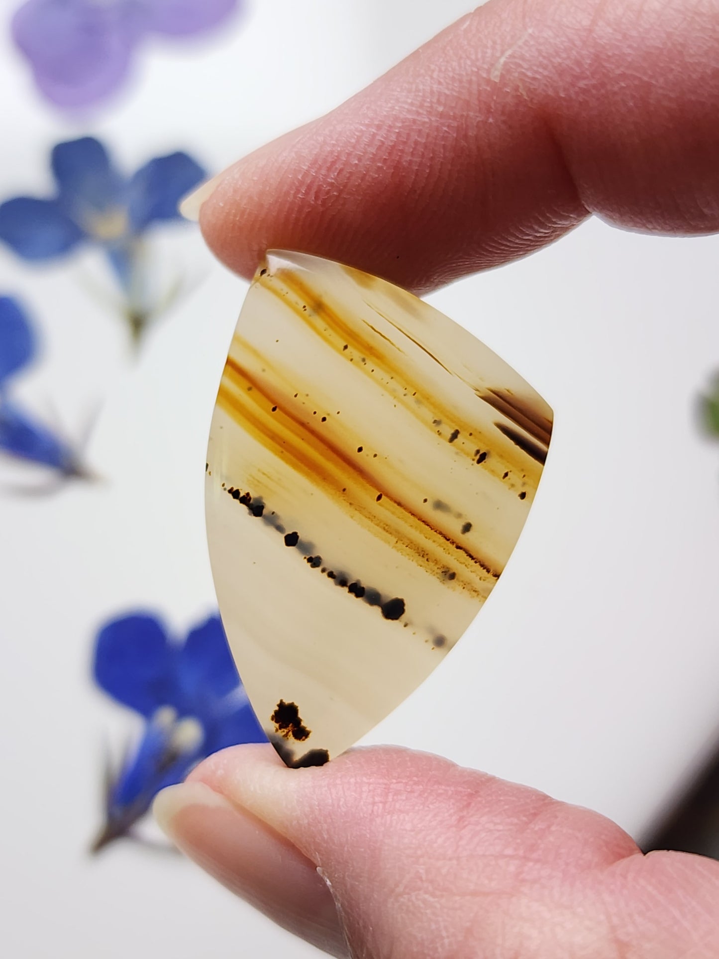 Montana agate