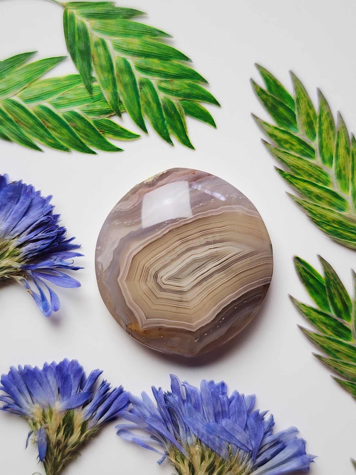 Agua Nueva agate