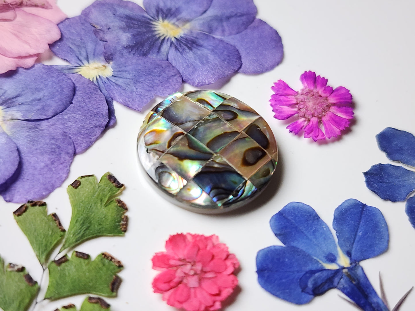 Mosaic Abalone shell