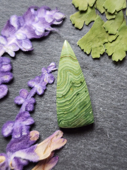 Gary green jasper / Larsonite