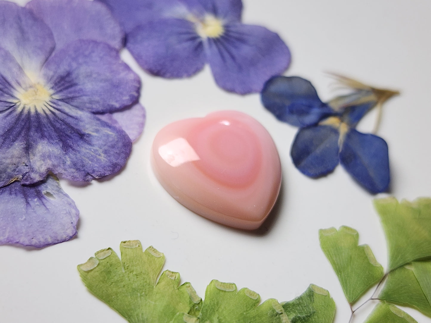 Pink Conch shell heart