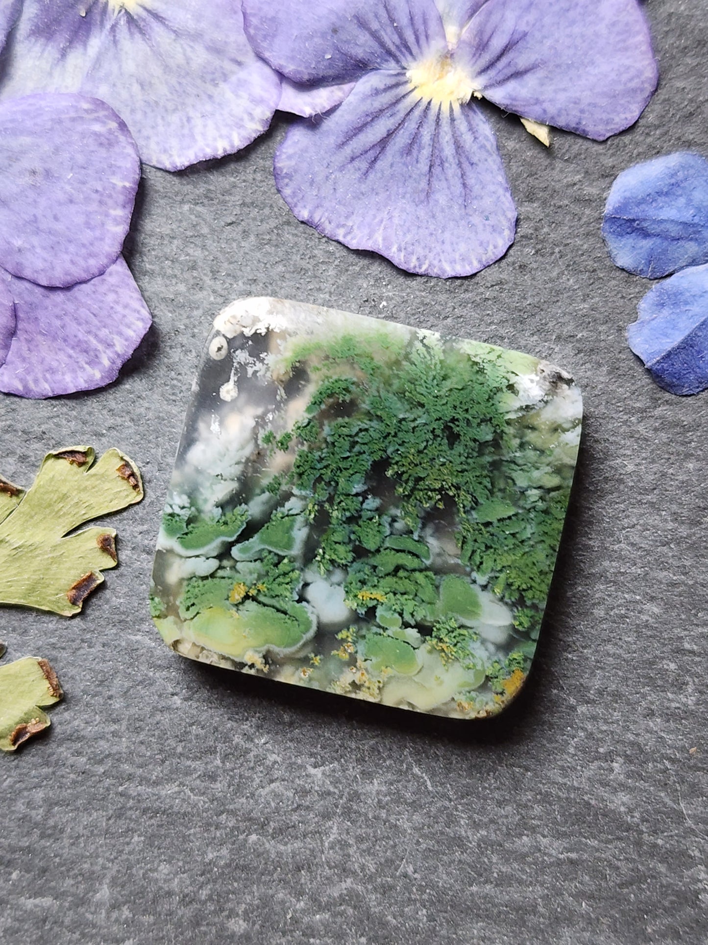 Garden Moss agate