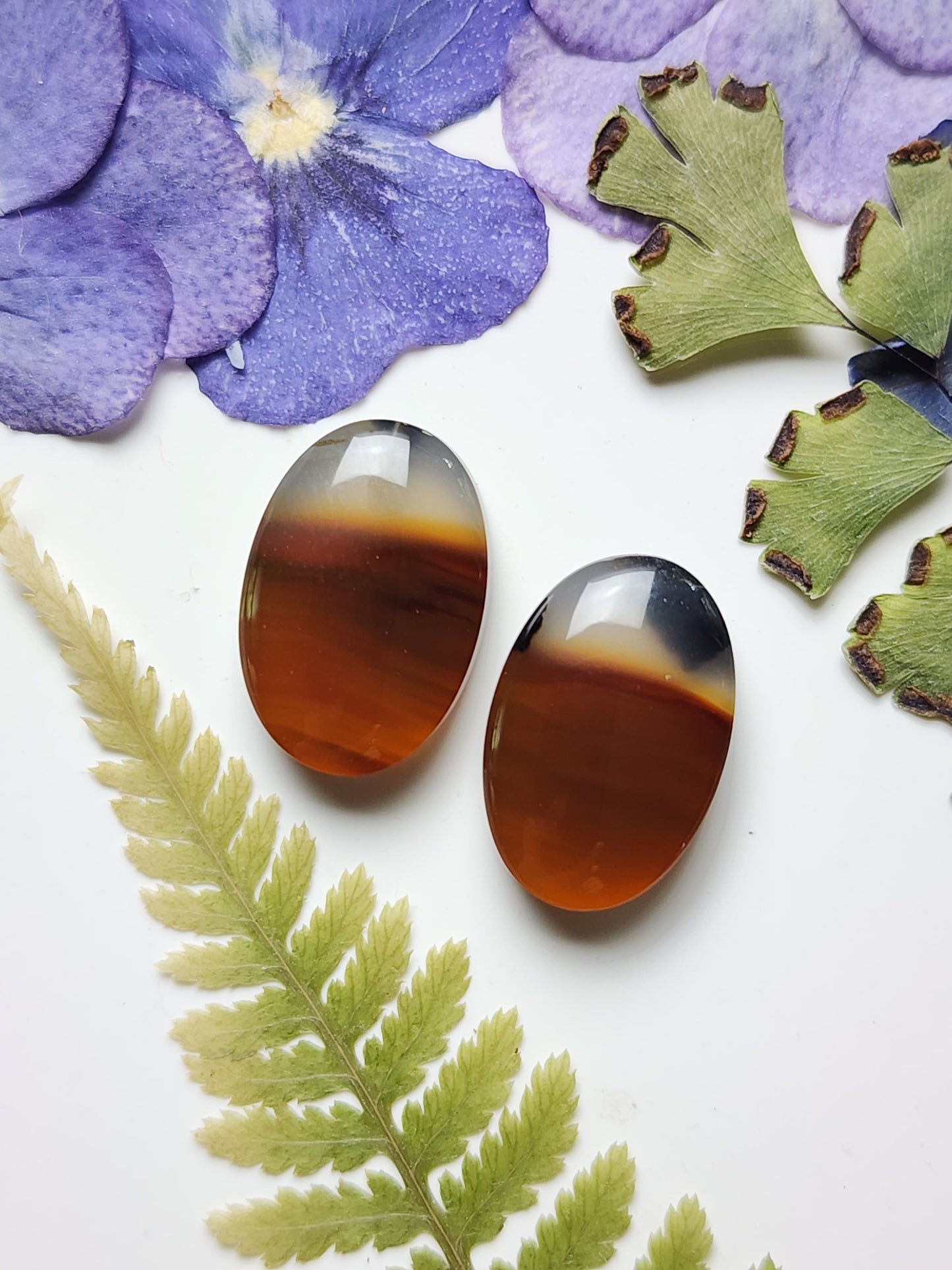 Montana agate pair