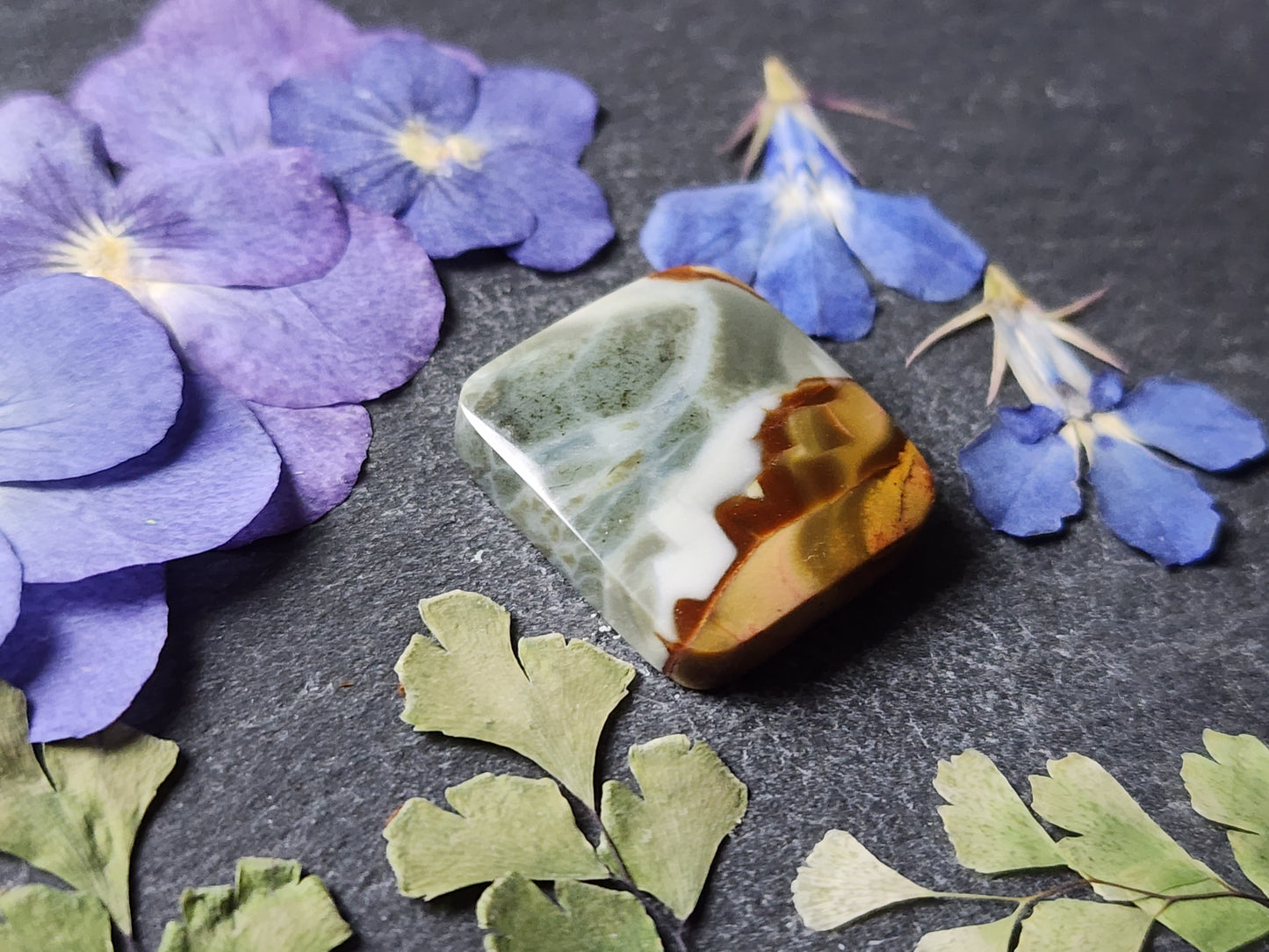 Brecciated Polychrome jasper