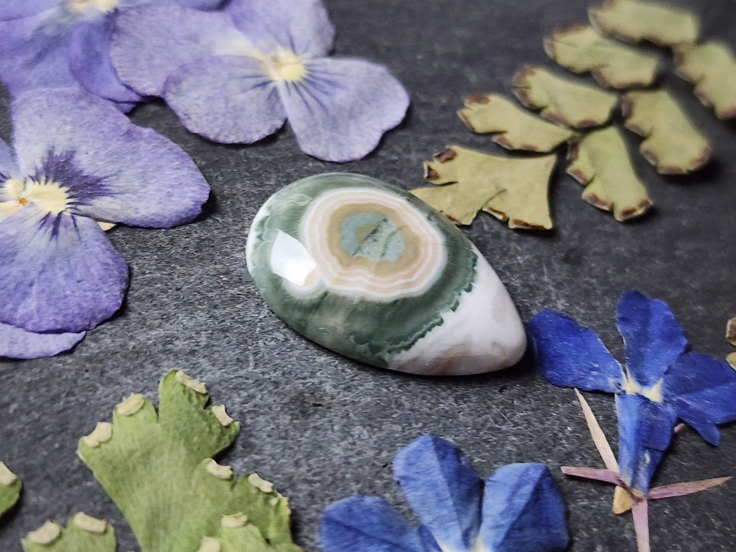 Ocean jasper