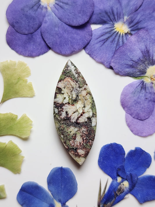 Garden Moss agate