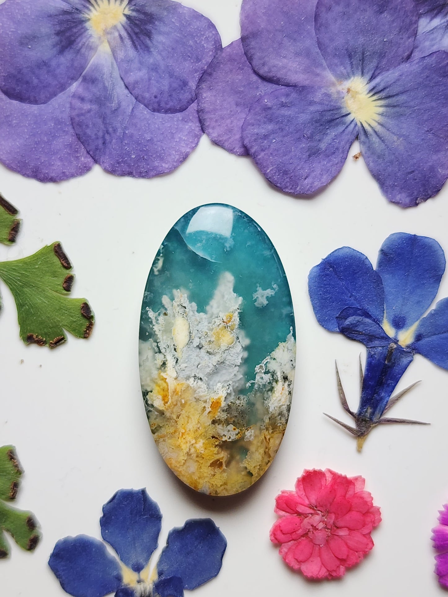 Bella Vista plume agate Doublet