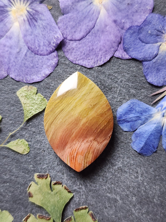 Gary Green jasper / Larsonite