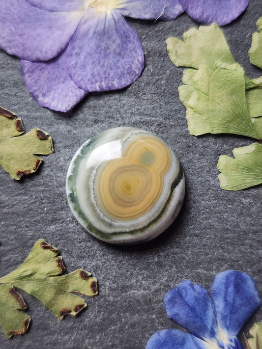 Ocean jasper