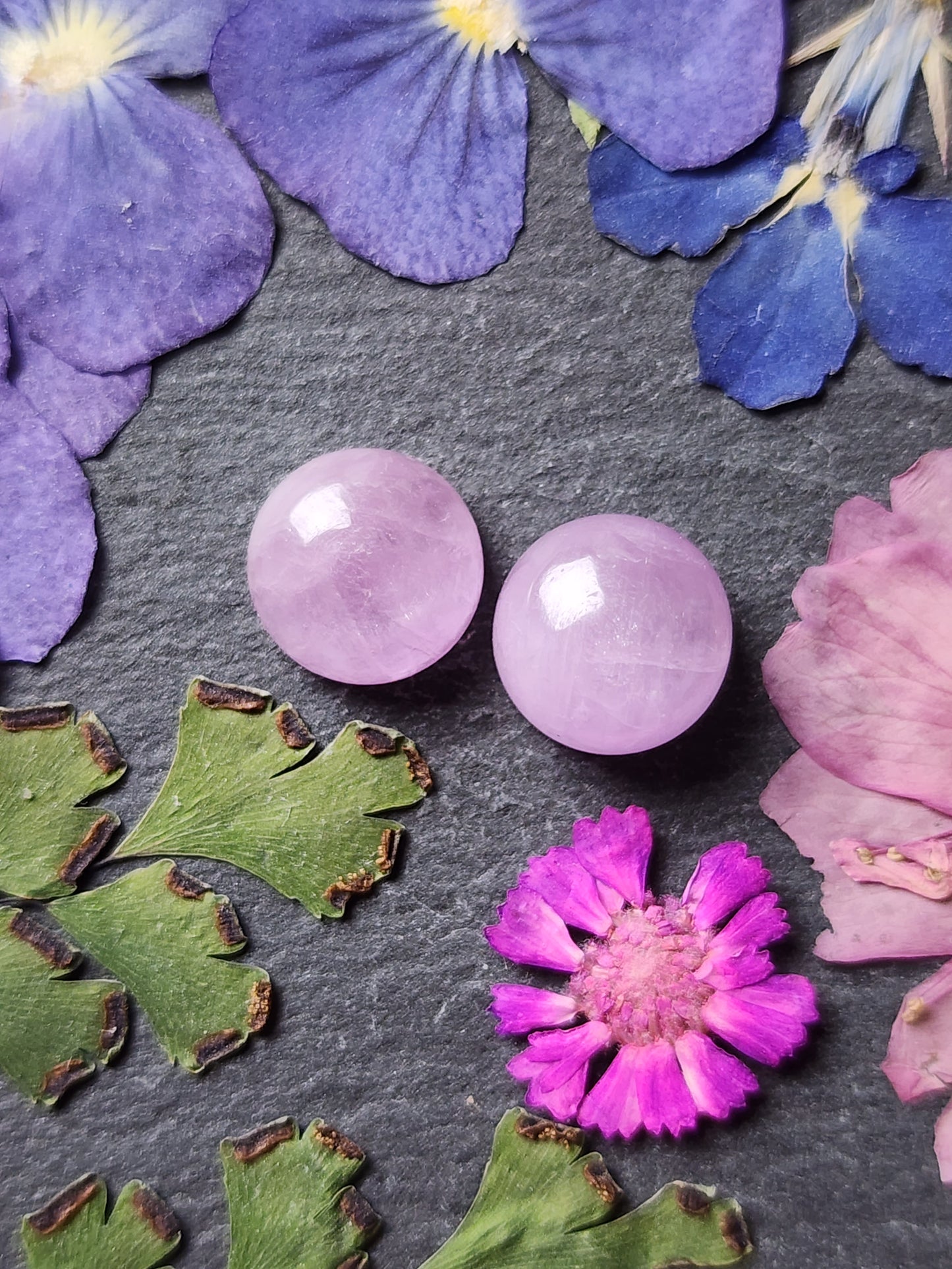 Lavender Kunzite pair