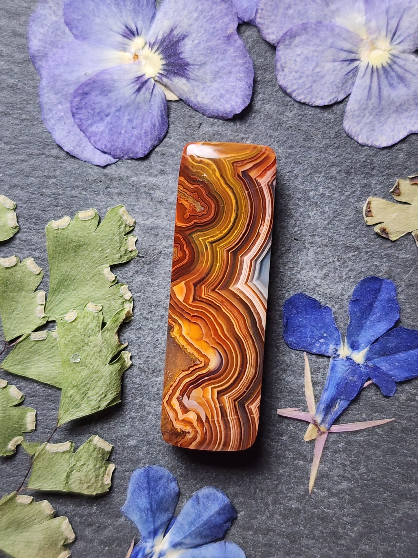 Laguna lace agate