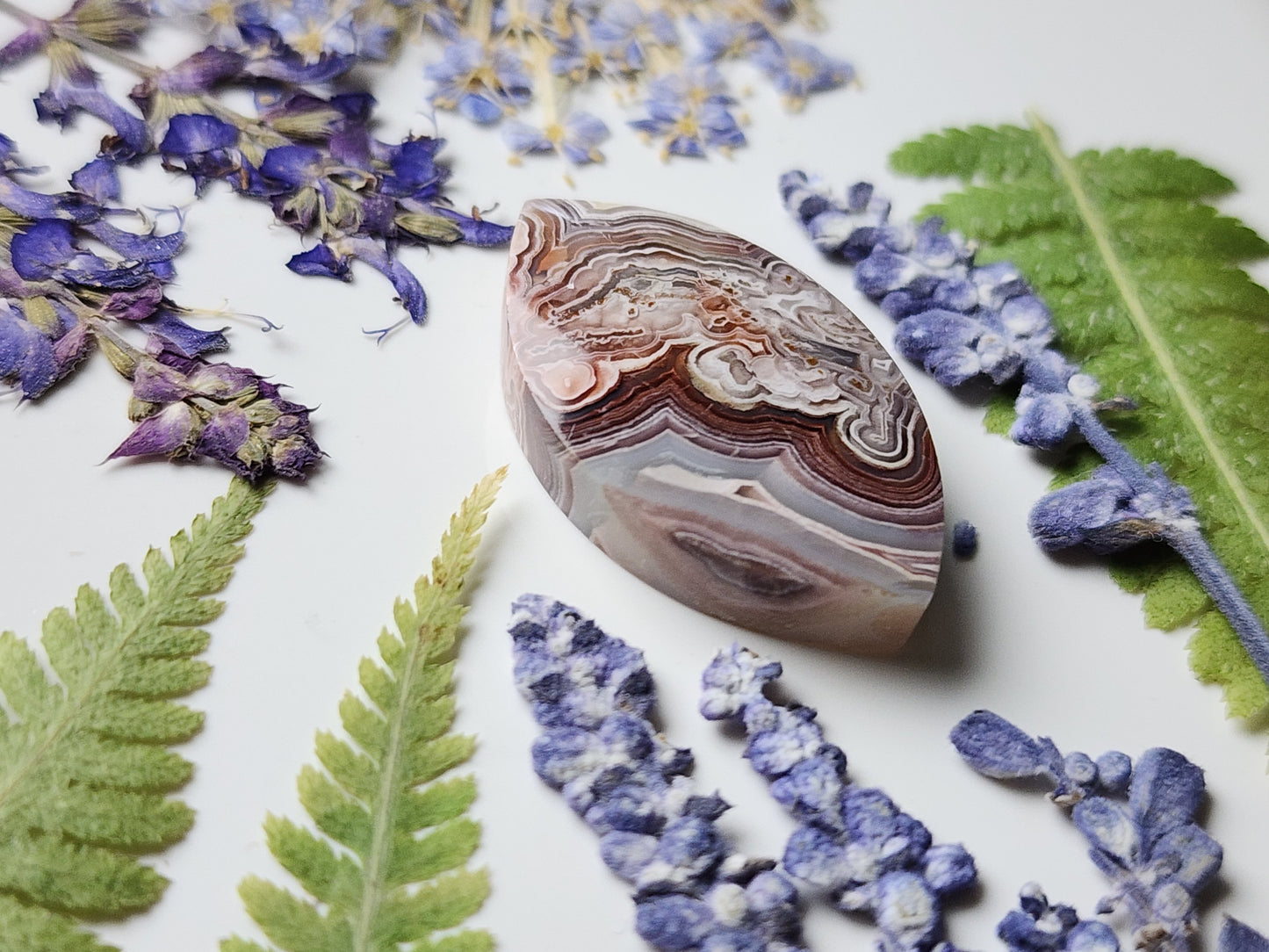 Laguna lace agate
